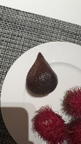 Palmeira Salak (Fruta-cobra)