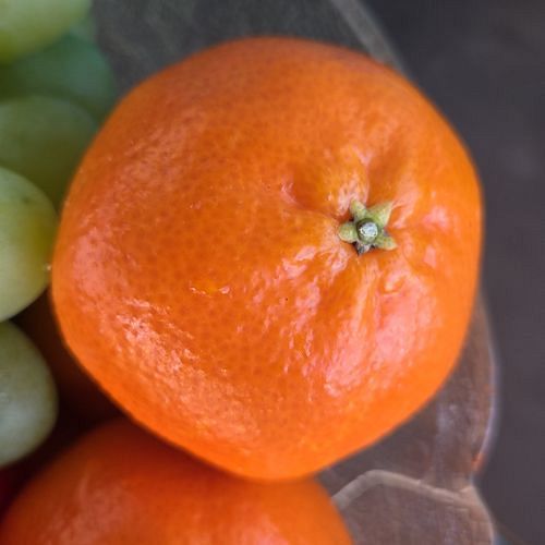 Tangerineira - Tangerina Dancy